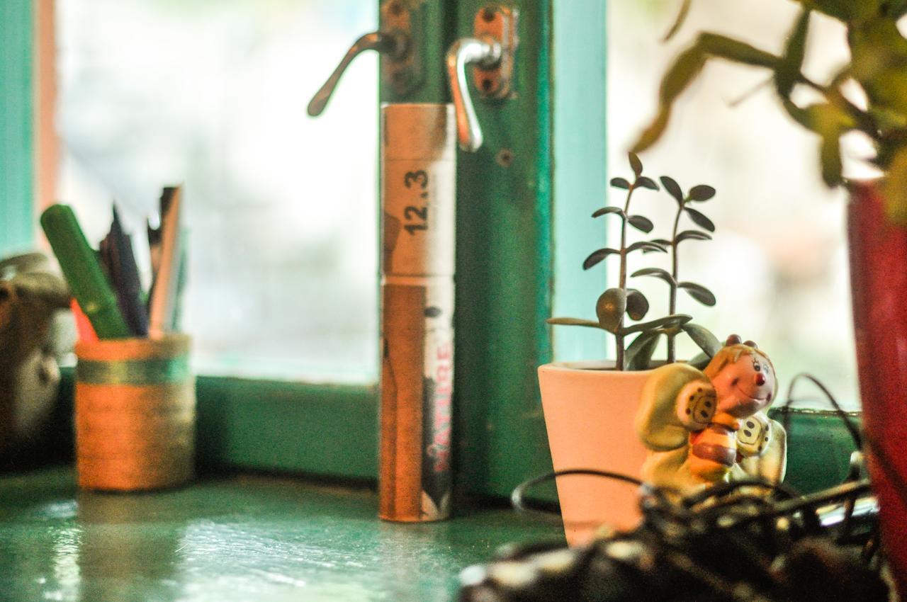 Funky Mamaliga Hostel 基希讷乌 外观 照片