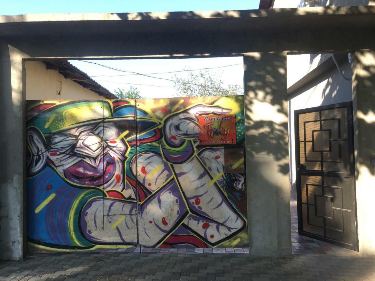 Funky Mamaliga Hostel 基希讷乌 外观 照片